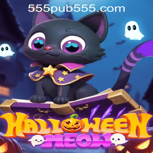 HalloweenMeow: Dive into the Spooky Fun